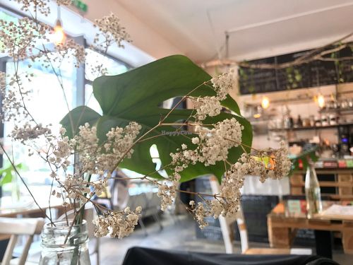 interior design at Moehren Milieu Eco Cafe in Mainz