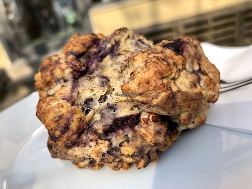 blueberry scone at Moehren Milieu Eco Cafe in Mainz