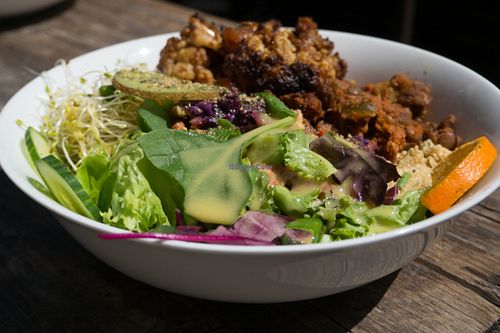 Serge Bowl at Moehren Milieu Eco Cafe in Mainz