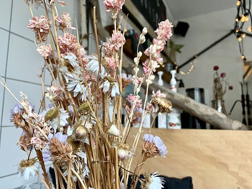 inside at Moehren Milieu Eco Cafe in Mainz