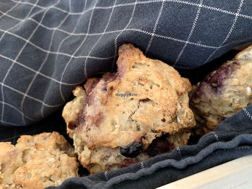 scone at Moehren Milieu Eco Cafe in Mainz