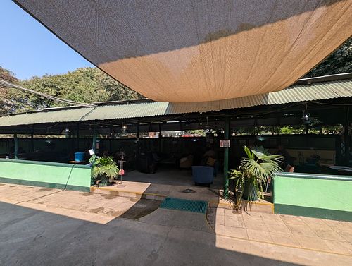 Outside at Kubu Cafe in Livingstone