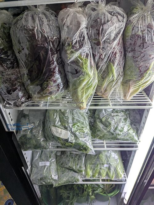 Fresh greens at Kubu Cafe in Livingstone