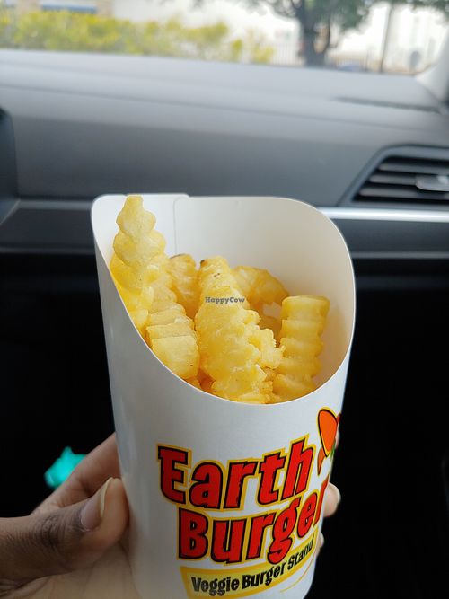 Fries at Earth Burger - NW Loop in San Antonio