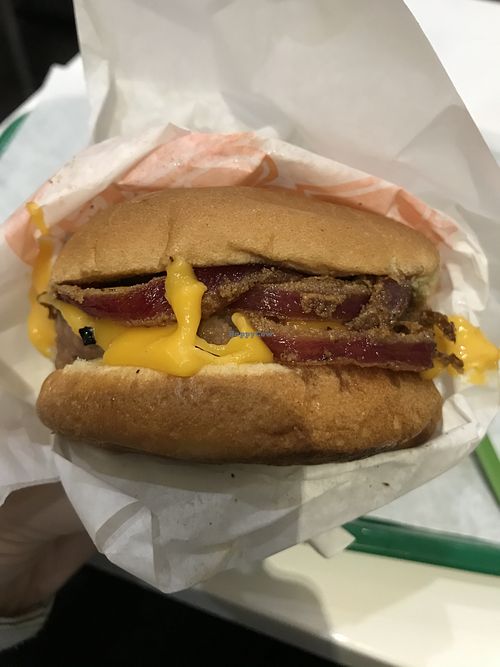 Ranchero burger at Earth Burger - NW Loop in San Antonio