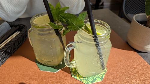 Homemade iced tea and yuzu lemonade at YAMA Asia Fusion Kitchen in Tirol