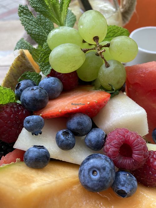   at Abaca in Le Touquet