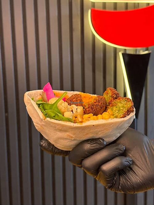 Falafel Pita Pocket at Signature Cafe in Bloomington