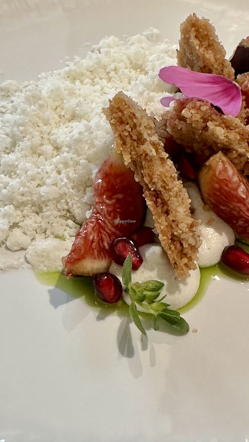 Fruit and fig leaf, cashew-coconut ganache, Breton coconut shortbread, leche de tigre granita  at Trèfle in Lyon