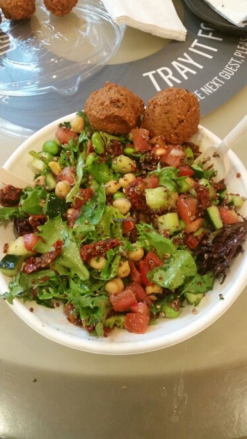 Lean and Green Salad + Falafel at Hummus Republic in Woodland Hills