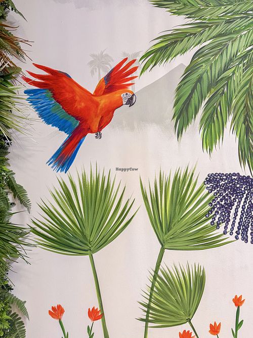 .  at Amazonia Açaí in Illes Balears