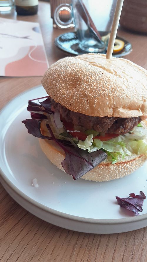  at De Koele Costa in Zuid-holland