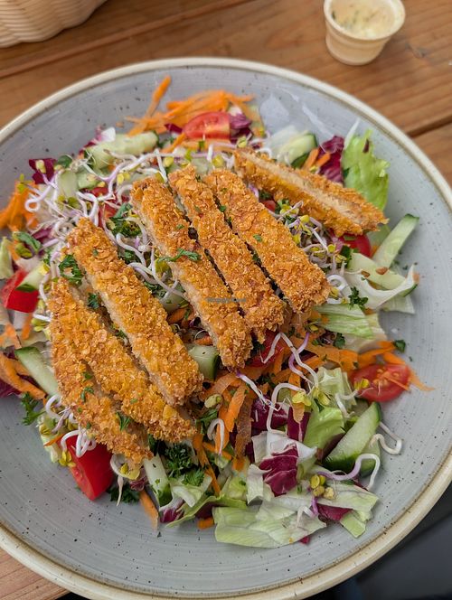 Vritz Salat mit veganen Schnitzelstreifen at Schweinske in Schleswig-holstein