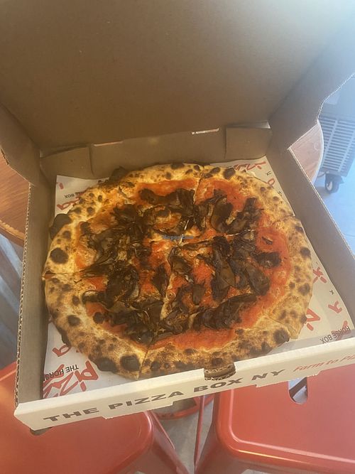   at Pizza Box in New York