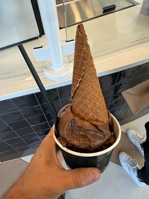 two scoops at Edison's Ice Cream in Fort Collins