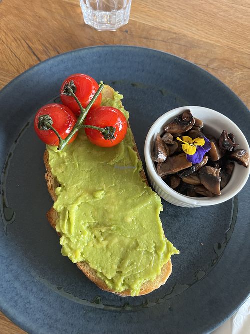 Avo toastt  at llanbenwch cafe  in Wales