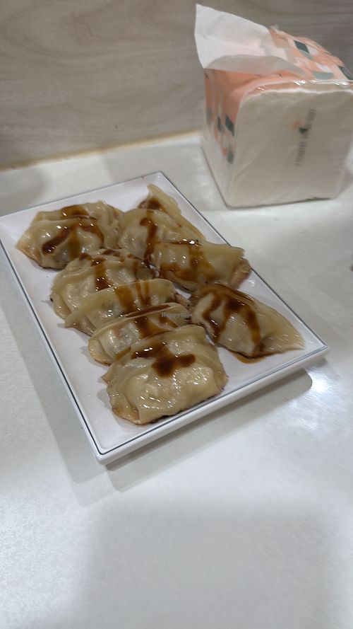 Pan fried dumplings   at New Vegetarian Cuisine - NAS新蔬食(素食 in Taichung City