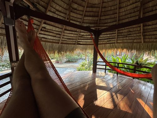   at The Little Vegan Homestay in Siem Reap