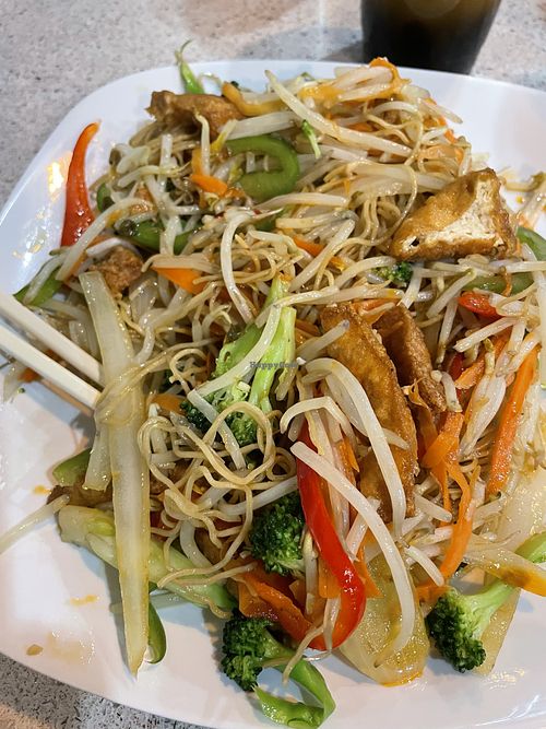 Chow mein with tofuu cold rolls  at Pho Dui Bo Restaurant in Hamilton