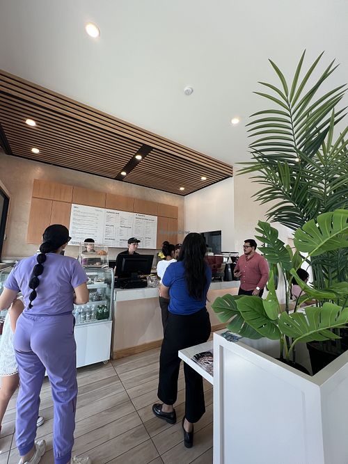 Interior  at Coffee Star Signature in Cabo San Lucas