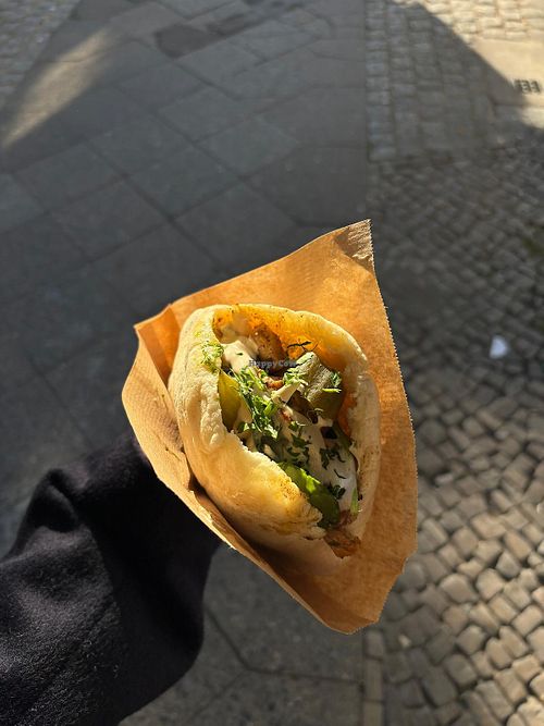 Pita with mushrooms, vegan meat, Sellerie, spinach and pickles + some herbs and sauce.   at Pilz Imbiss in Berlin
