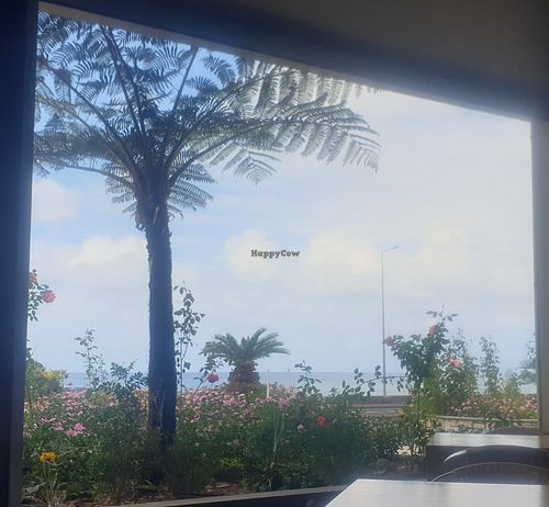 Outdoor seating view at Restaurante A Cataplana in Madeira