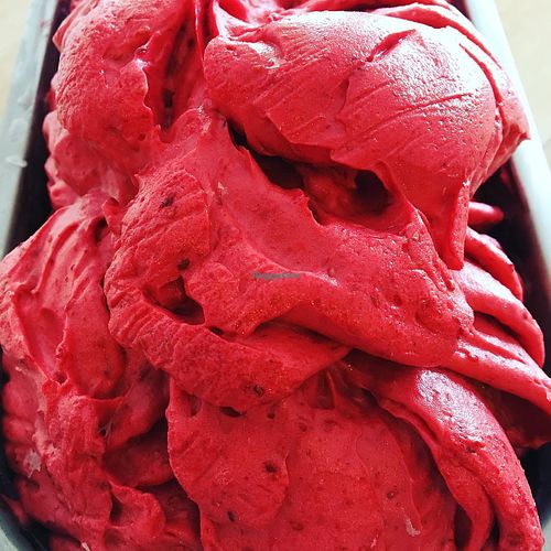 vegan raspberry sorbet at Sweet Hunter in Cincinnati