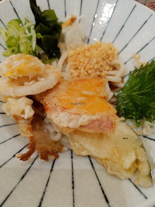 BK tempura udon at Niko Udon in Zuid-holland