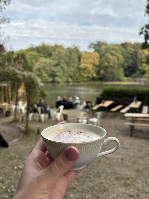 Non-dairy Cappuccino   at Pop Up Café Alsterschlösschen by Elbschmiede in Hamburg