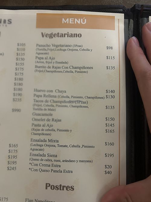 ask about dips, sometimes they serve sour cream but they have ketchup/salsa  at Las Campanas in Jalisco