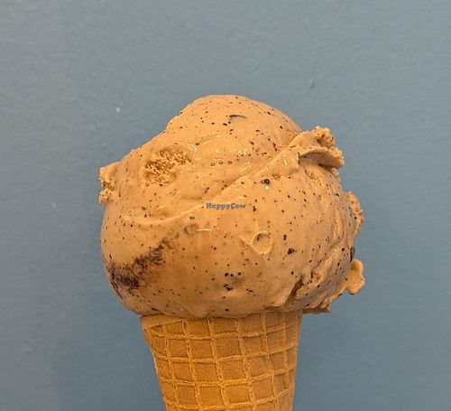 Favorite Mug Espresso Chip at Mayday Ice Cream - St. Augustine Beach in St Augustine