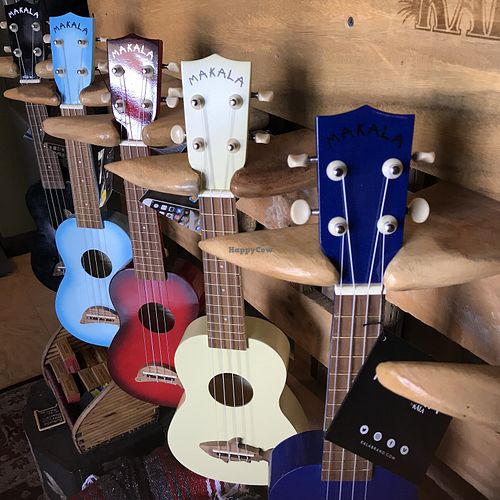 Cool gift shop inside at The Surfinista Cafe in Cocoa Beach