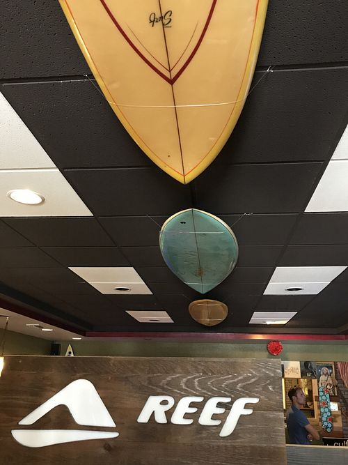 Cool ceiling! Artistic, chill, surfer vibe inside.  at The Surfinista Cafe in Cocoa Beach