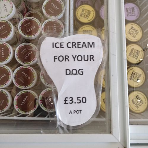  at Doniford Farm Park in Somerset