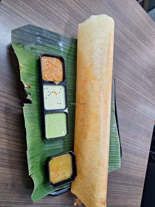 Paper dosa at Komala‘s Restaurants in Central Singapore