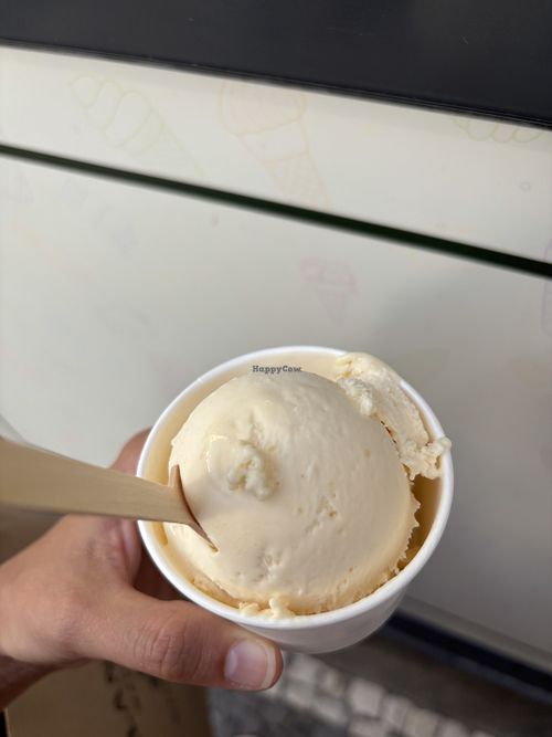 Creamy mango sorbet 😋  at sweet salt in Madeira