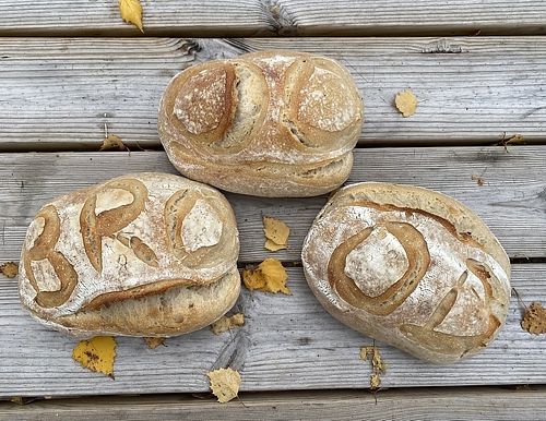 Bread  at Supermercator in Noord-holland