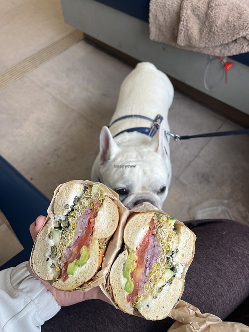 Everything bagel with vegan cream cheese, tomato, sprouts, capers, avocado, red onion, cucumber   at Good Bagels Cafe in Anacortes