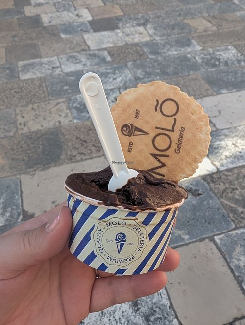 Vegan chocolate orange gelato at MOLÕ Gelateria Dubrovnik in Dubrovačko-neretvanska županija