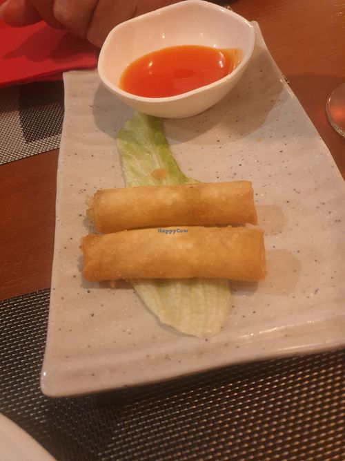 Spring rolls at Unik Asiatico Restaurante in Comunidad Valenciana
