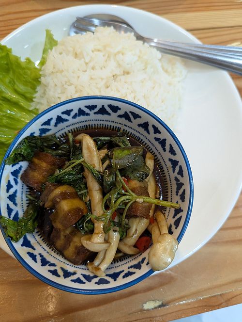 Mock pork at Swanlrun organics in New York