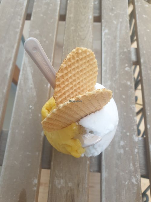 Passionfruit and coconut at Lanette Helados Frescos | Mayor 31 in Comunidad Valenciana