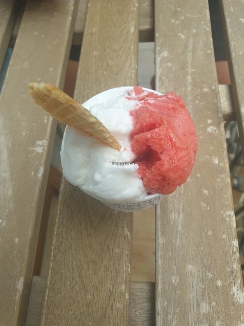 Strawberry and coconut at Lanette Helados Frescos | Mayor 31 in Comunidad Valenciana