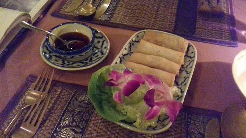 Vegan springrolls at River Kwai in Utrecht