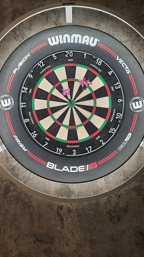 Darts at The Shepherd and Dog Inn in England