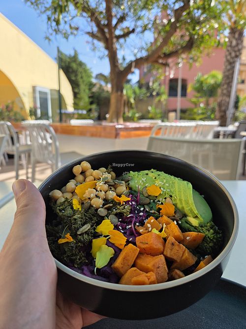 Vegan Buddah Bowl  at iCafe in San Roque
