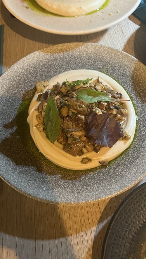 gebratene Pilze auf Selleriepüree  at Mastelo Restaurant & Bar in Lefkada