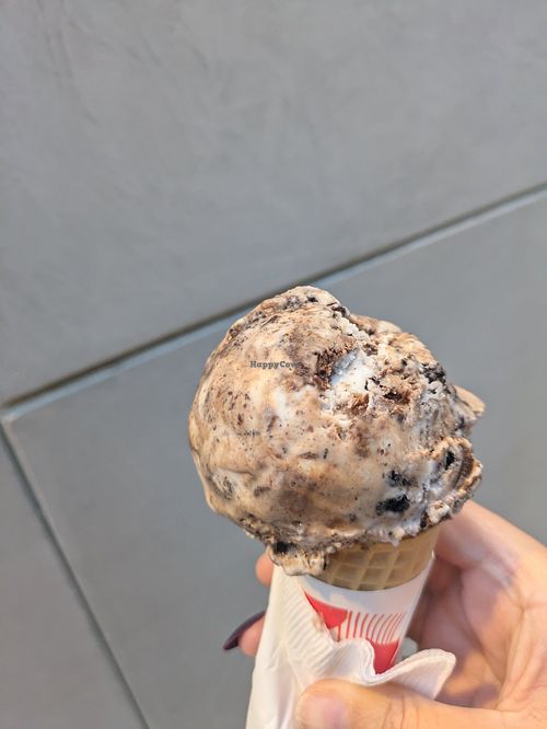 Hazelnut cookies and cream small scoop at Salt & Straw in Las Vegas