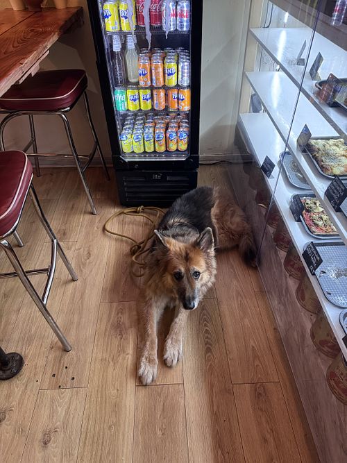   at Teglia Pizza in Glasgow