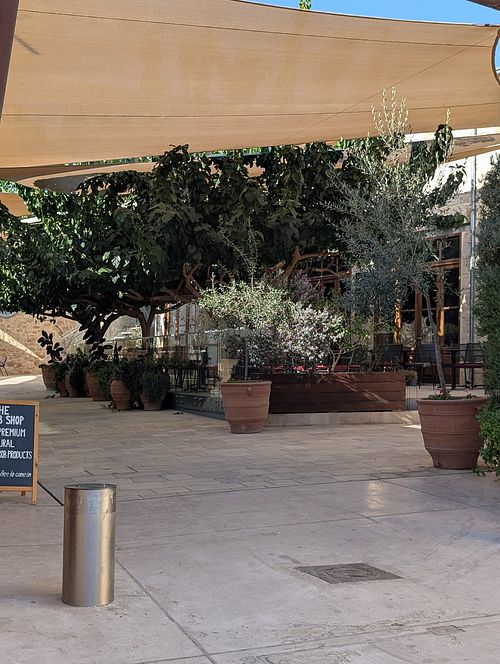 Carob King Black Gold at Carob King-Black Gold(Εργαστήριο χαρουπιού) in Pafos